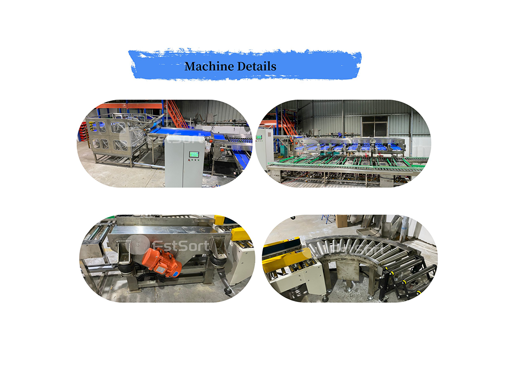 passion fruit machine details